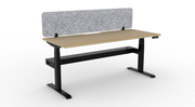 Boost Plus Electric Single Sided Workstation with Eco Screen