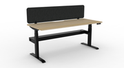 Boost Plus Electric Single Sided Workstation with Eco Screen