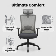 Winger II Ergo Manager Chair