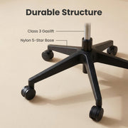 ECHO Mesh Office Chair | Ergonomic Mid-Back Work Chair with 5-Year Warranty