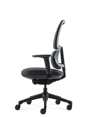 Orca Chair