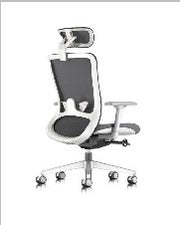 Winger Executive Task Chair, Mesh back with — Winger Iii And I