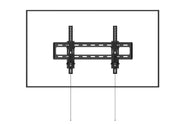 Horizon TV Mount